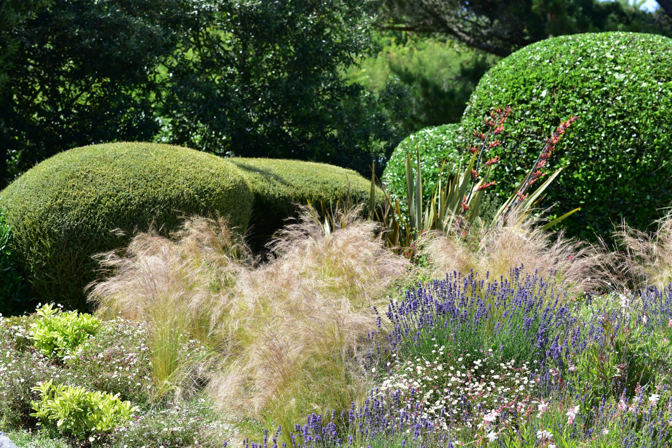 paysagiste belle ile_creation amenagement jardin (14)