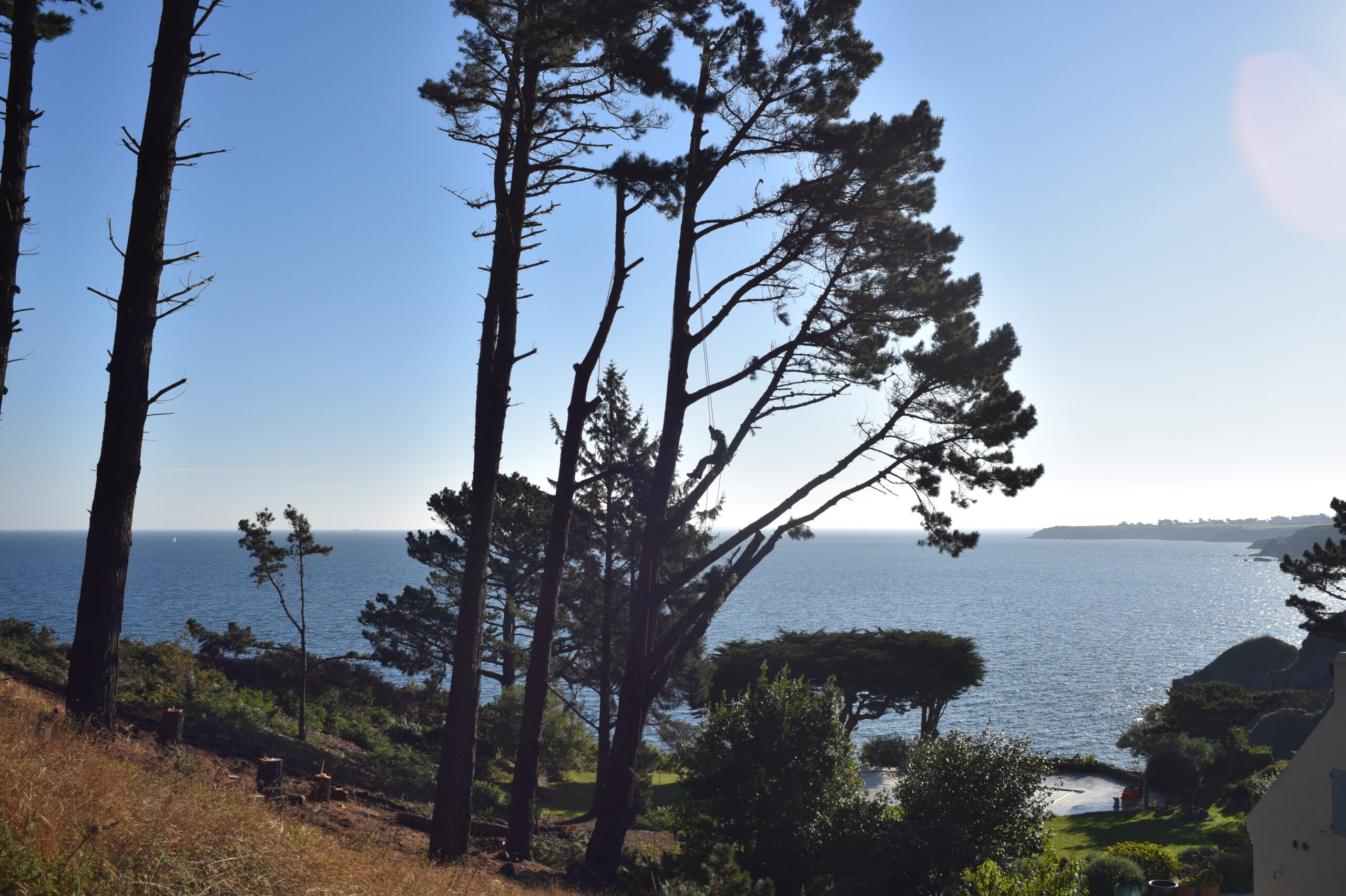 paysagiste belle ile_elagage abattage 02