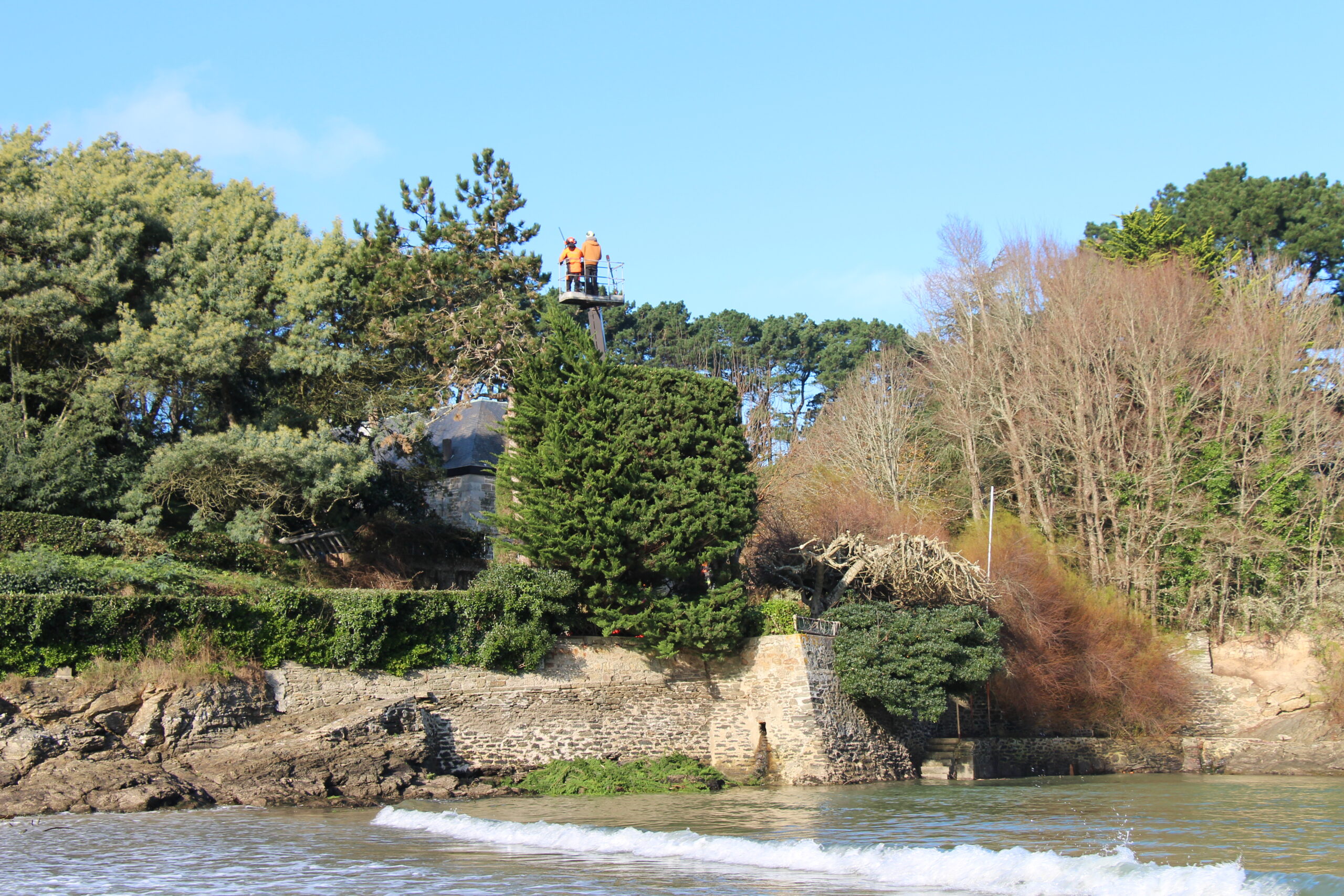 paysagiste belle ile_elagage abattage 11