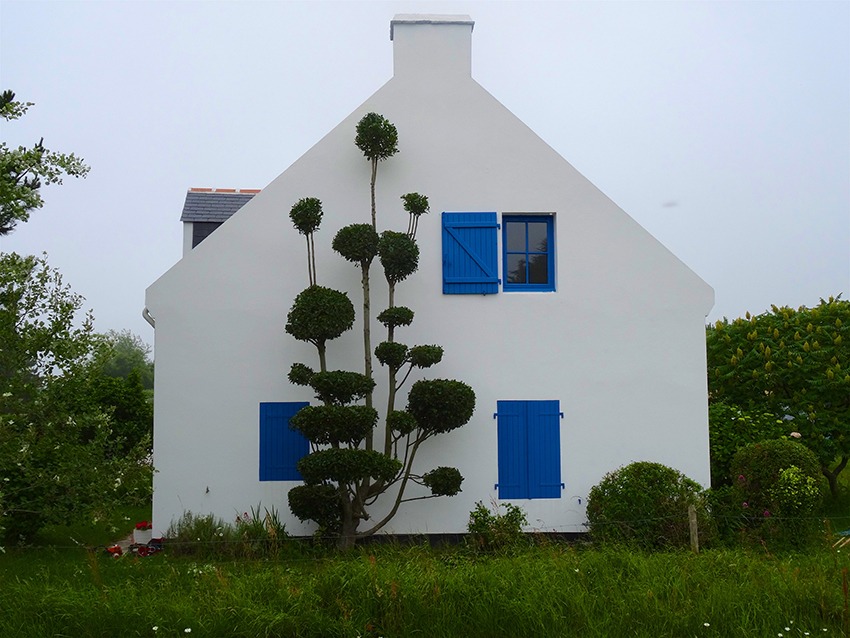 entretien de jardin paysagiste belle ile