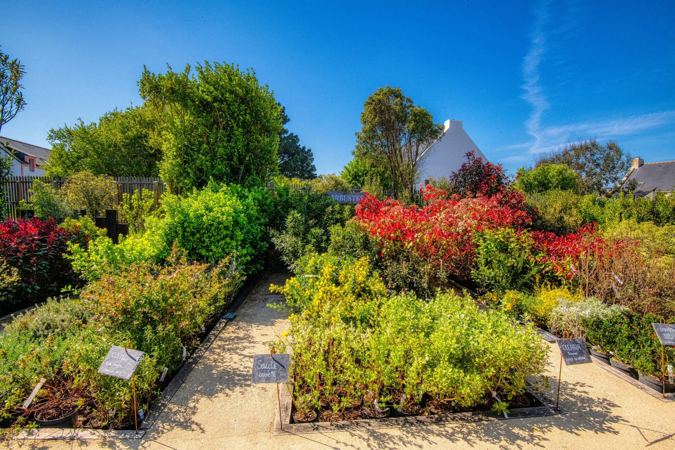 pepiniere et paysages belle ile_jardinerie bangor (12)