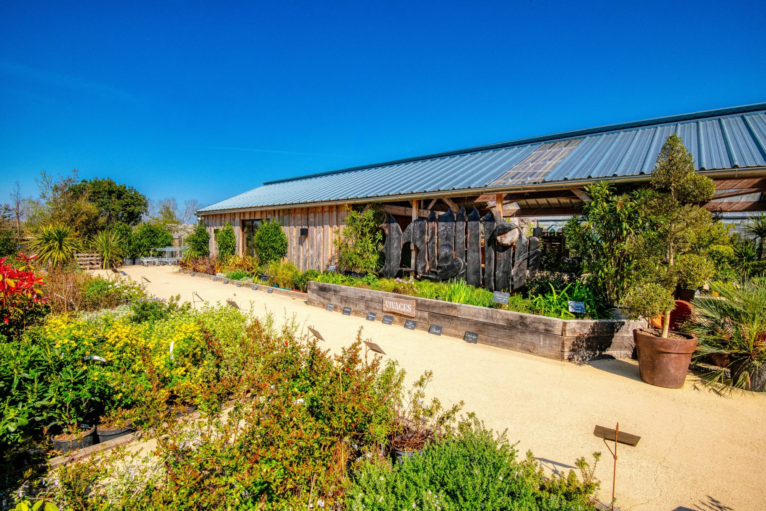 pepiniere et paysages belle ile_jardinerie bangor (13)
